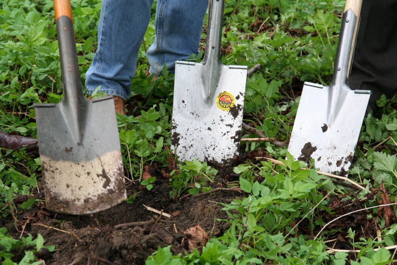 pepiniere-GAREOULT-min_work-lawn-flower-tool-green-backyard-1103633-pxhere.com